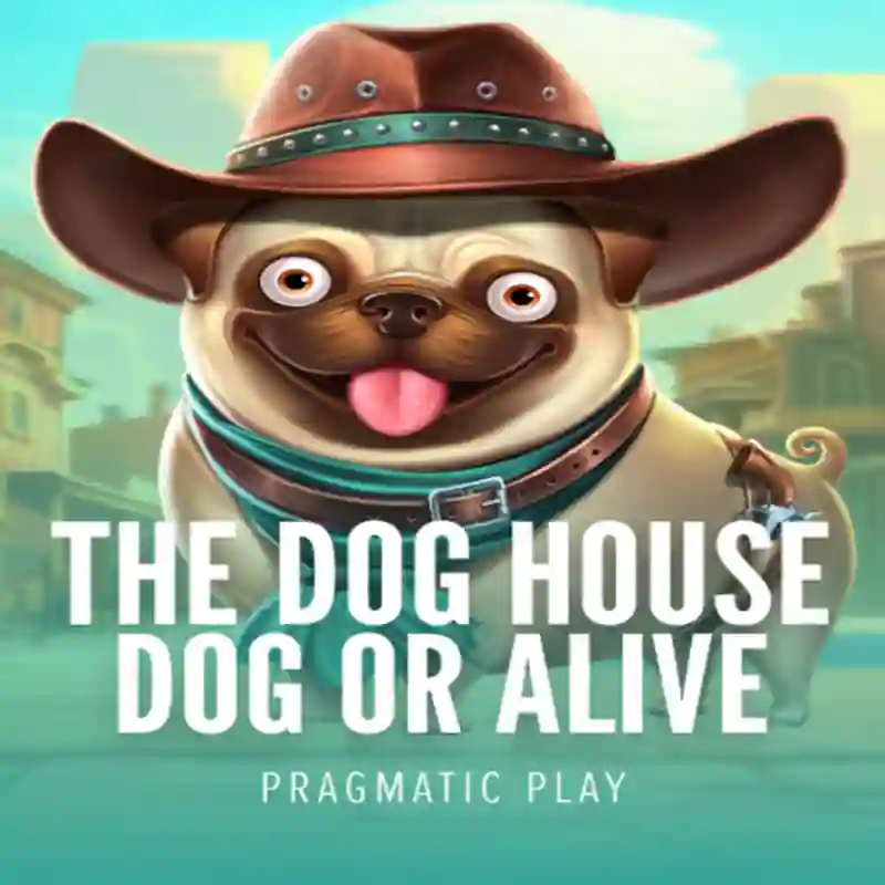 Dog House Dog & Alive tragamonedas en t333 Casino